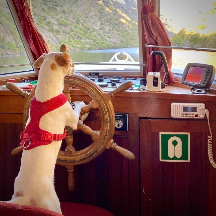 25520195abfeb36d615fdcdb54105985