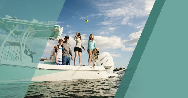 6  Consejos para navegar con seguridad con tu perro